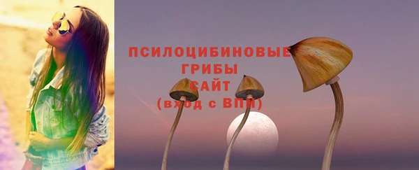 ALPHA PVP Армянск